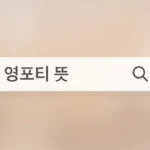 영포티 뜻